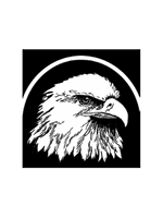 Eagle Hill Institute Logo