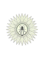 Kansas Entomological Society Logo