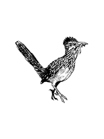 Southwestern Association of Naturalists Logo